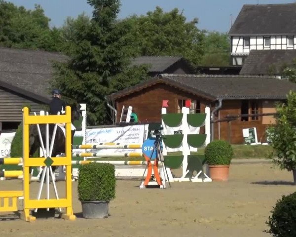 Sommerturnier Lohmar-Hausdorp 2015