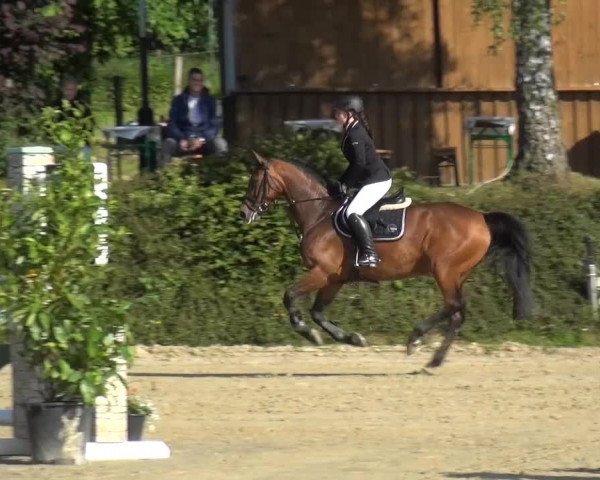 Sommerturnier Lohmar-Hausdorp 2015