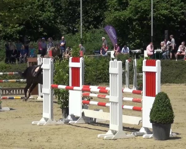 Sommerturnier Lohmar-Hausdorp 2015