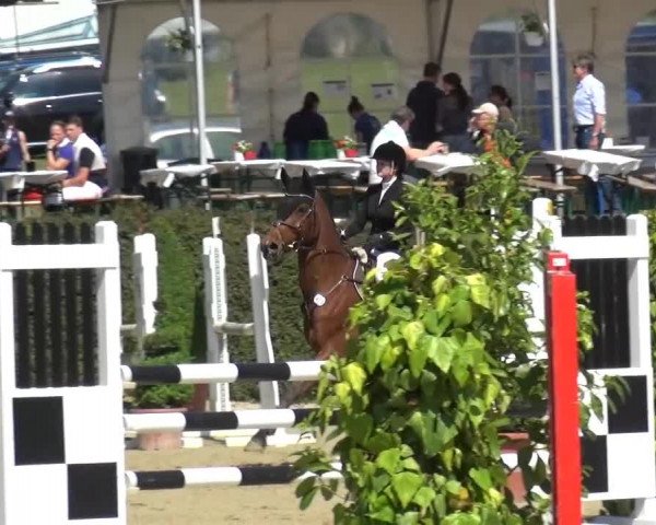 Sommerturnier Lohmar-Hausdorp 2015