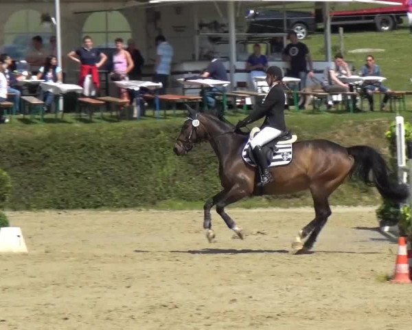 Sommerturnier Lohmar-Hausdorp 2015