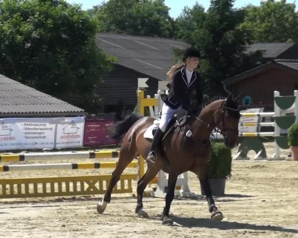 Sommerturnier Lohmar-Hausdorp 2015