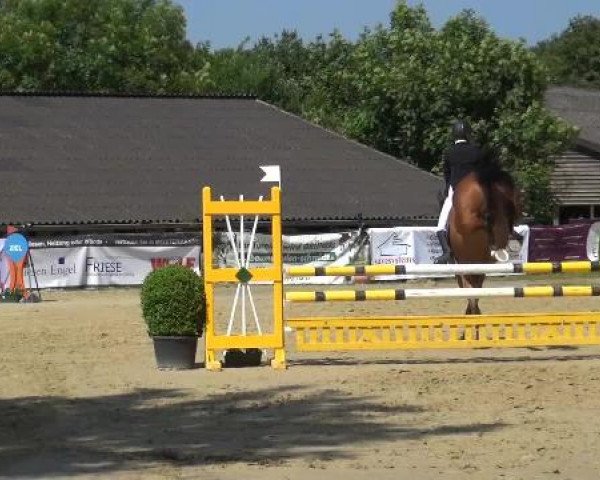 Sommerturnier Lohmar-Hausdorp 2015