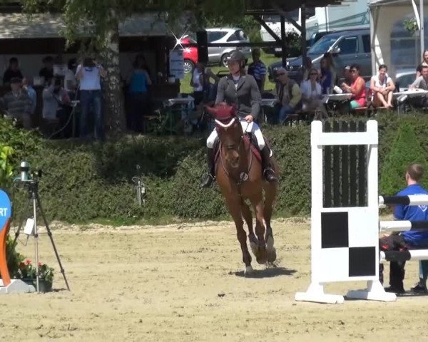 Sommerturnier Lohmar-Hausdorp 2015