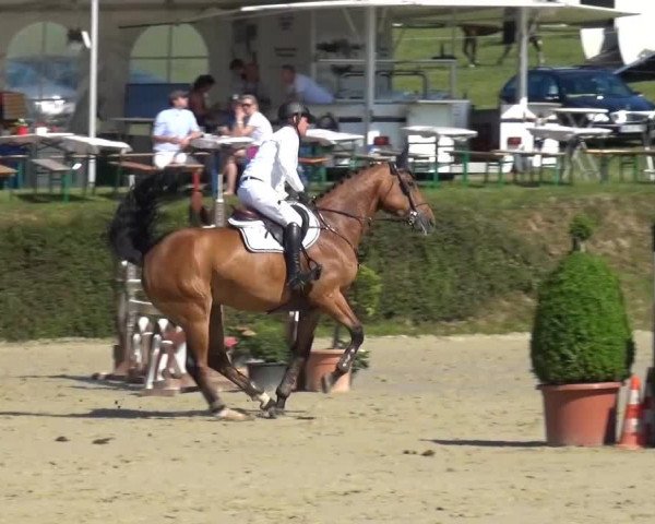 Sommerturnier Lohmar-Hausdorp 2015