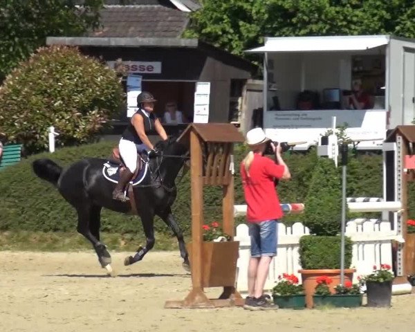 Sommerturnier Lohmar-Hausdorp 2015