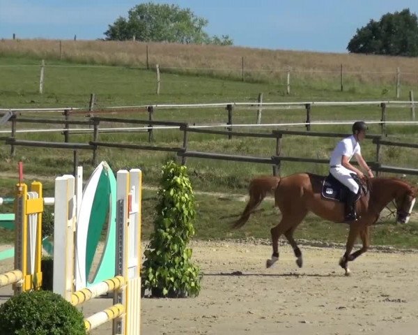 Sommerturnier Lohmar-Hausdorp 2015