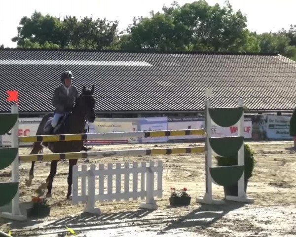 Sommerturnier Lohmar-Hausdorp 2015
