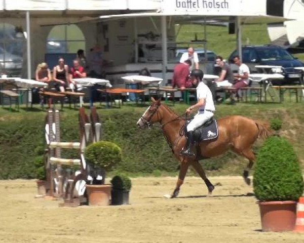 Sommerturnier Lohmar-Hausdorp 2015