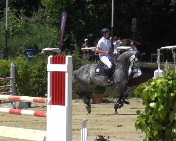 Sommerturnier Lohmar-Hausdorp 2015