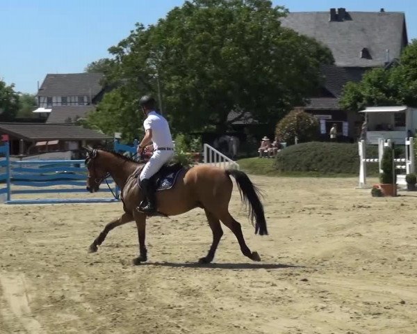 Sommerturnier Lohmar-Hausdorp 2015