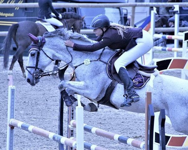 jumper Carola (Rhinelander, 2010, from Carolus II)