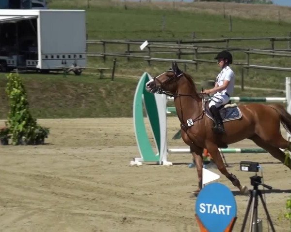 Sommerturnier Lohmar-Hausdorp 2015