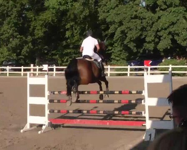 Reitturnier Nordstetten-Horb 2015