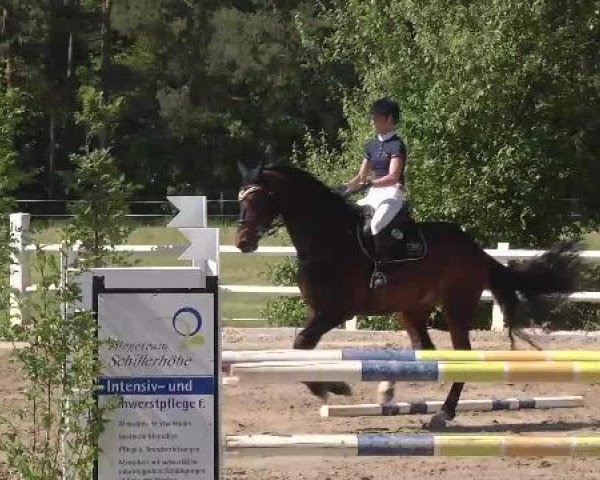 Reitturnier Nordstetten-Horb 2015