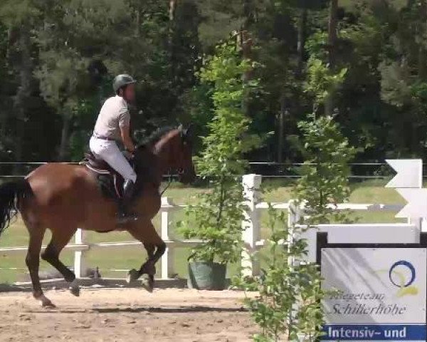 Reitturnier Nordstetten-Horb 2015