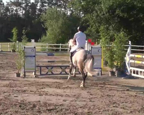 Reitturnier Nordstetten-Horb 2015