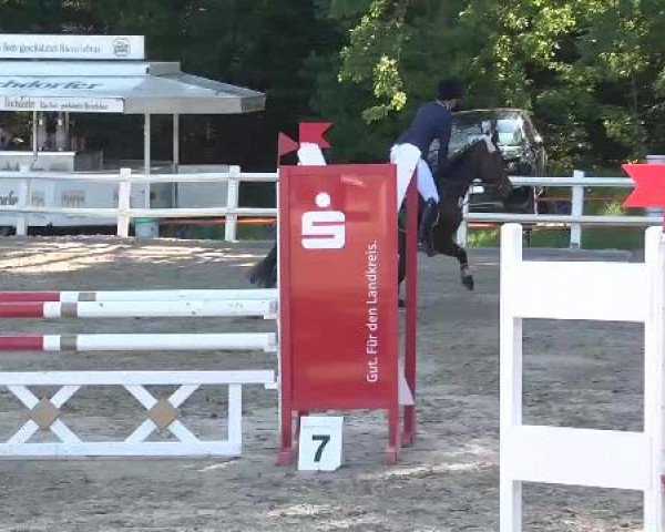 Reitturnier Nordstetten-Horb 2015