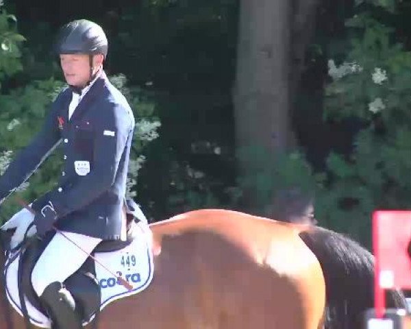Reitturnier Nordstetten-Horb 2015