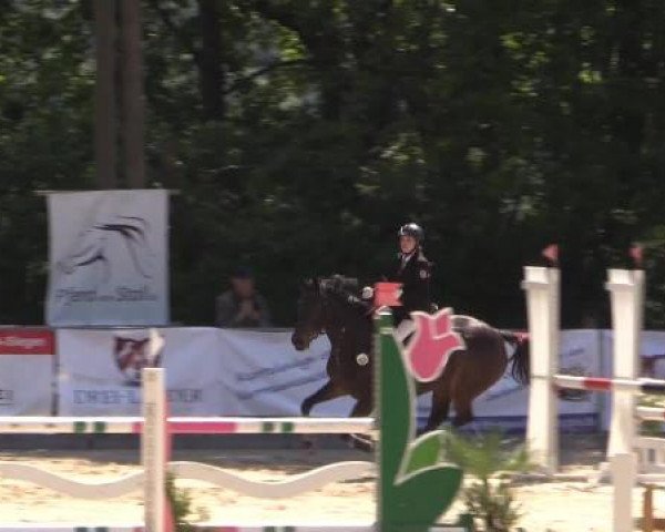 43. Drei-Länder-Challenge 2015