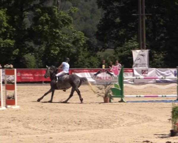 43. Drei-Länder-Challenge 2015