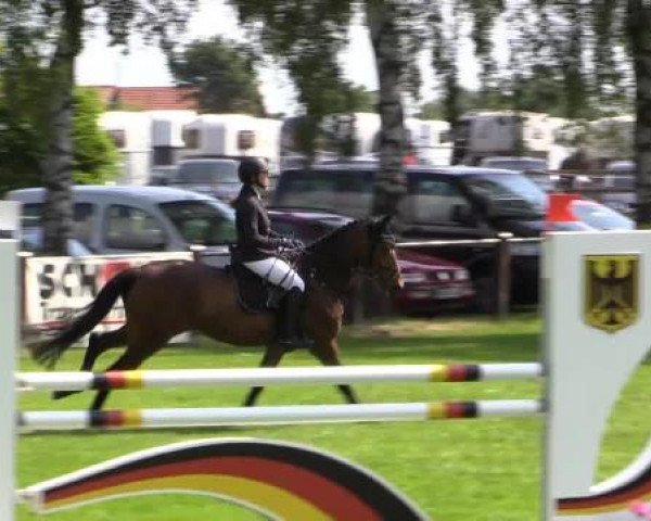 Großes Sommerturnier in Hille 2015