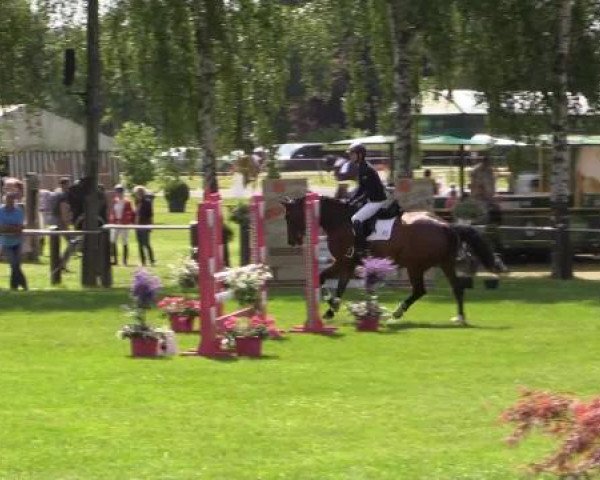 Großes Sommerturnier in Hille 2015
