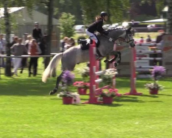 Großes Sommerturnier in Hille 2015