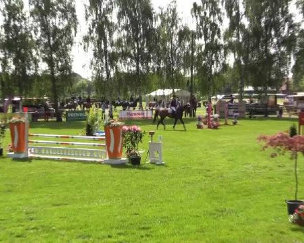 Großes Sommerturnier in Hille 2015