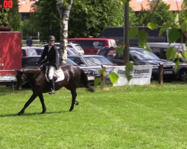 Großes Sommerturnier in Hille 2015