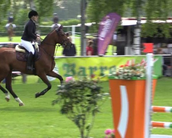 Großes Sommerturnier in Hille 2015