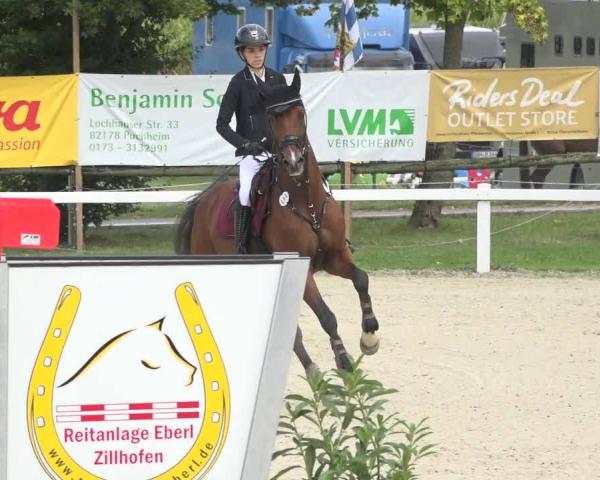 Ride turnering Zillhofen/Obb. 2026