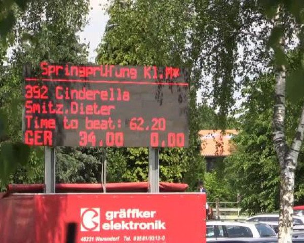 Großes Sommerturnier in Hille 2015