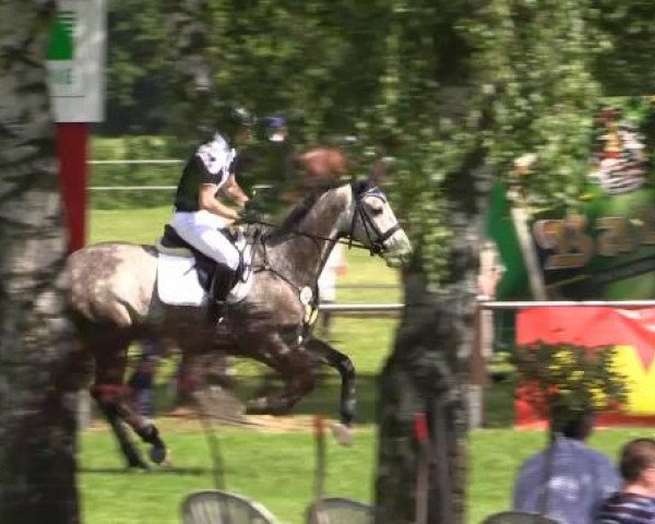 Großes Sommerturnier in Hille 2015