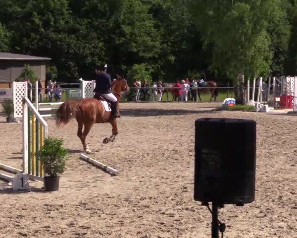 Höhr-Grenzhausen 2015