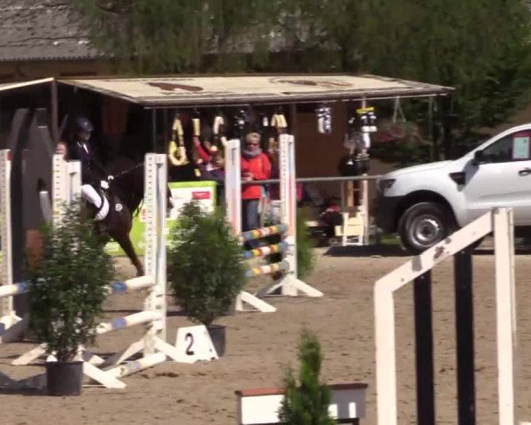 Höhr-Grenzhausen 2015