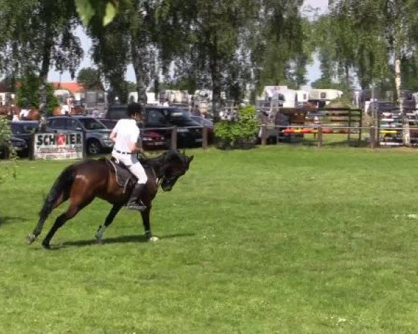 Großes Sommerturnier in Hille 2015