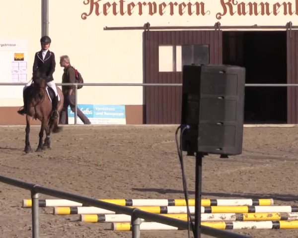 Höhr-Grenzhausen 2015