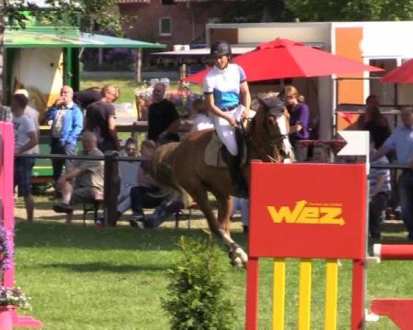 Großes Sommerturnier in Hille 2015