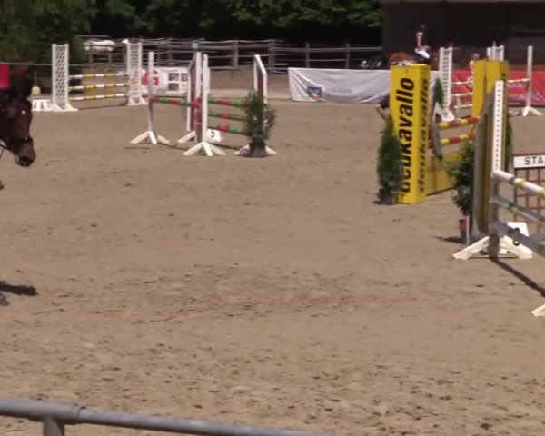 Höhr-Grenzhausen 2015