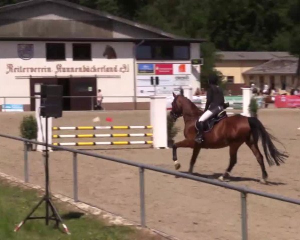 Höhr-Grenzhausen 2015
