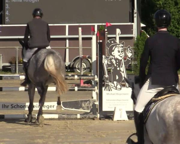 Equestrian Tournament Appelhülsen 2026