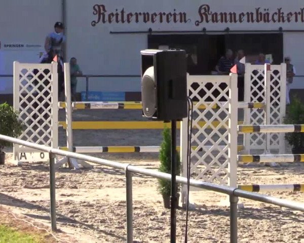 Höhr-Grenzhausen 2015