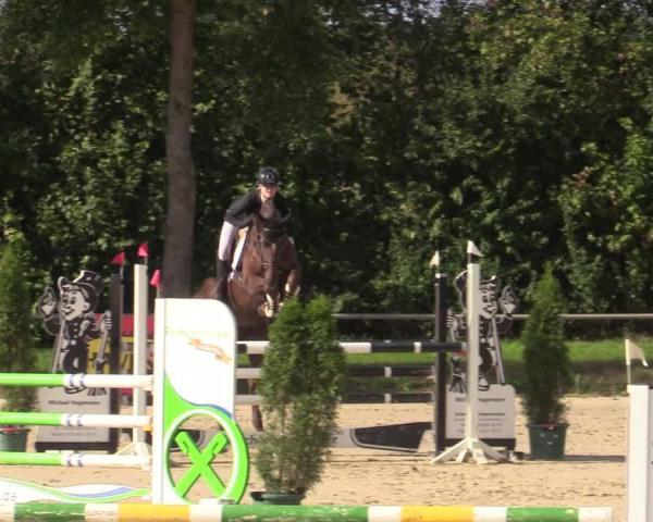 Ride turnering Appelhülsen 2026