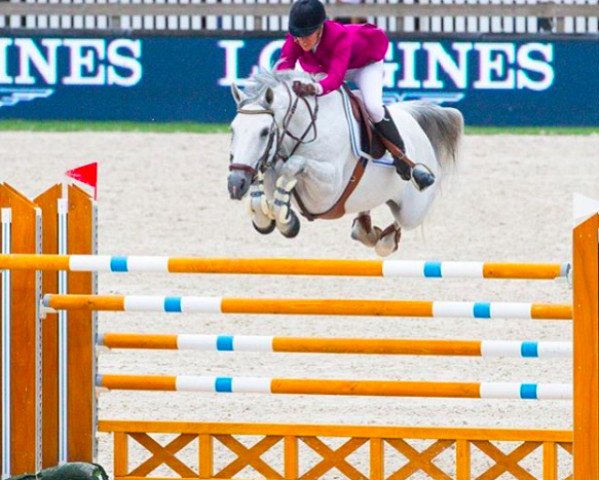 broodmare Isabeau van Dorperheide (Belgian Warmblood, 2008, from Winningmood van de Arenberg)