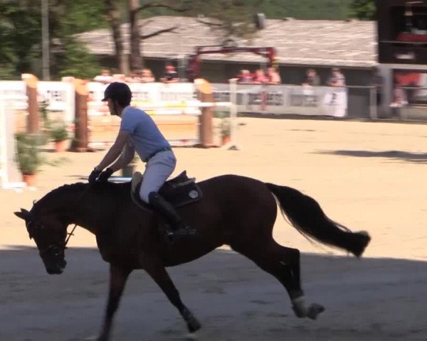 43. Drei-Länder-Challenge 2015