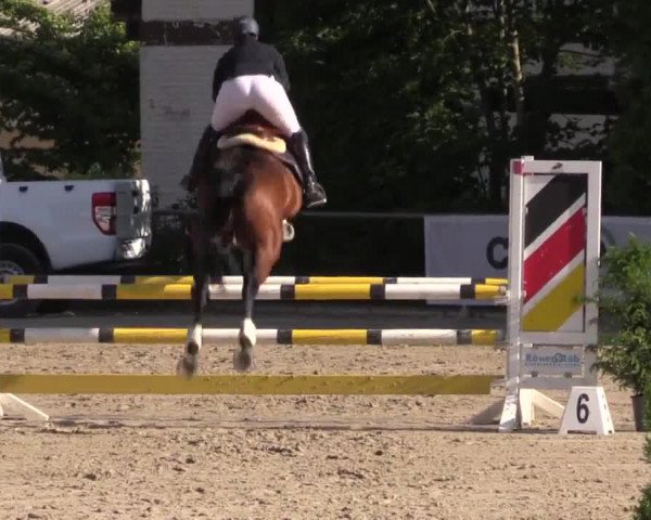 Höhr-Grenzhausen 2015