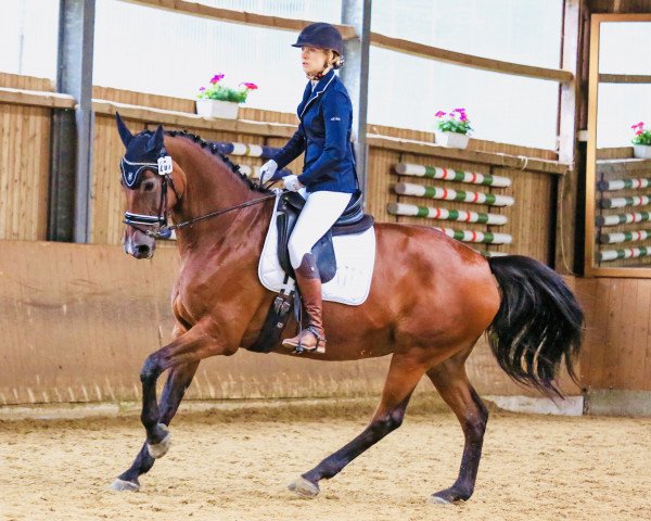 jumper Camilla for Charles (Danish Warmblood, 2004, from Carpaccio)