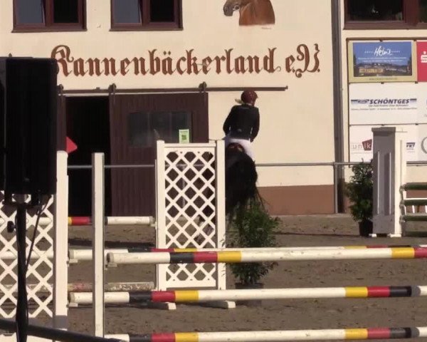 Höhr-Grenzhausen 2015