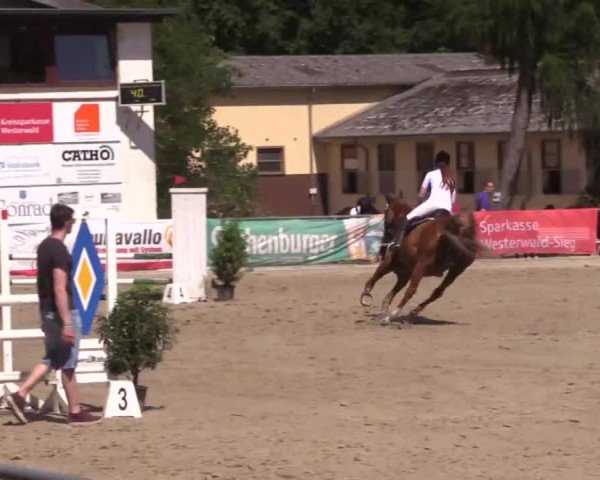 Höhr-Grenzhausen 2015